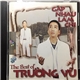 Trường Vũ - Gặp Nhau Làm Chi - The Best Of Trường Vũ