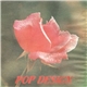 Pop Design - Pop Design